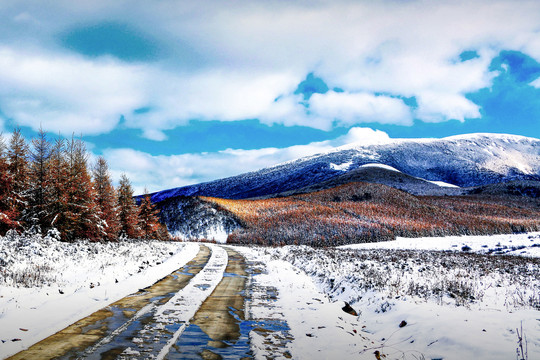 坝上雪景