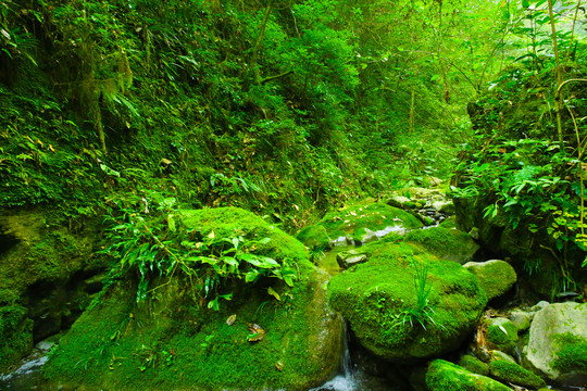 十八里长峡深山