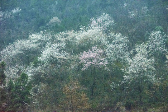 桃源风光三