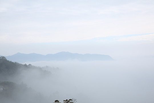 县河马鞍山云雾六