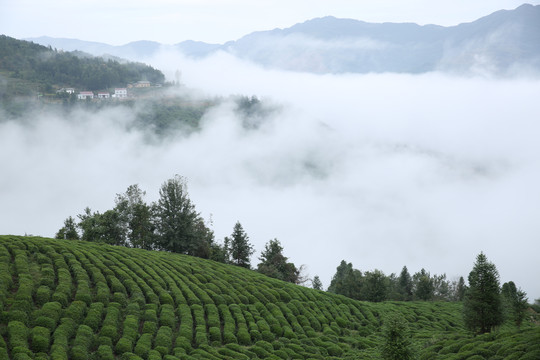 县河马鞍山云雾三