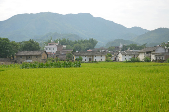 山区老屋