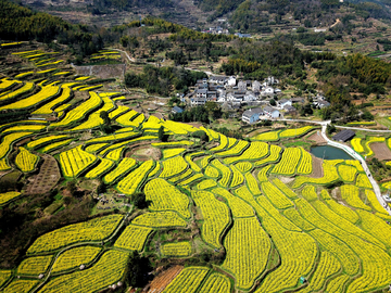 梯田风景