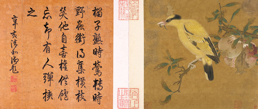 毛益榴枝黃鳥圖