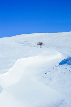 冬季雪域