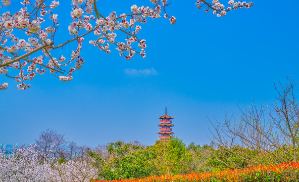 徐州金山塔