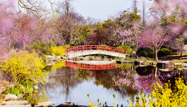 鼋头渚樱花谷红桥全景图