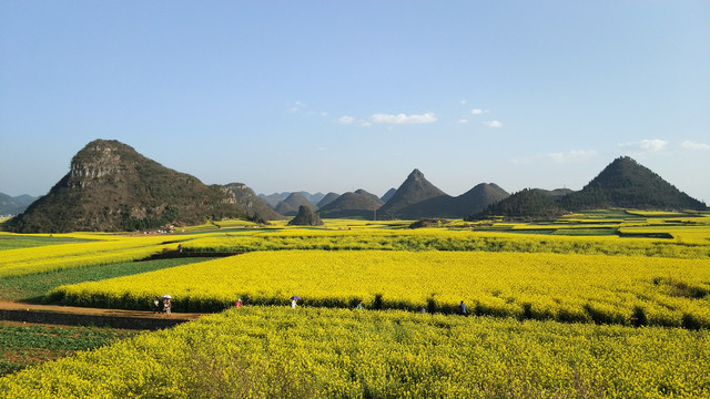 金鸡峰丛