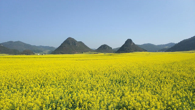 元阳门口山