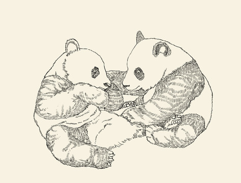 熊貓線描