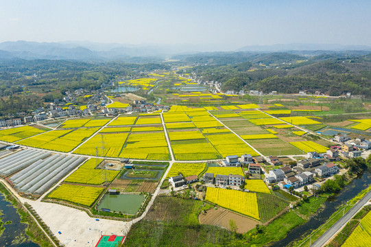 航拍田园上的油菜花