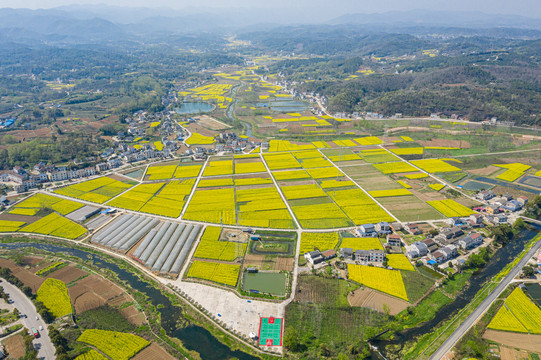 航拍田园上的油菜花