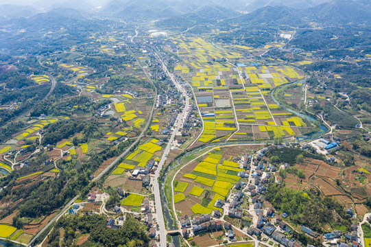 航拍田园上的油菜花