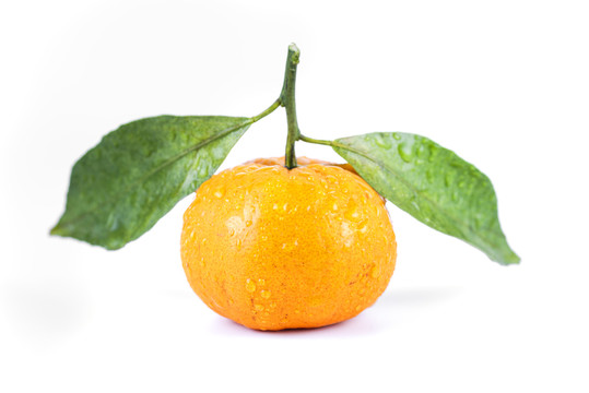 桔子蜜橘