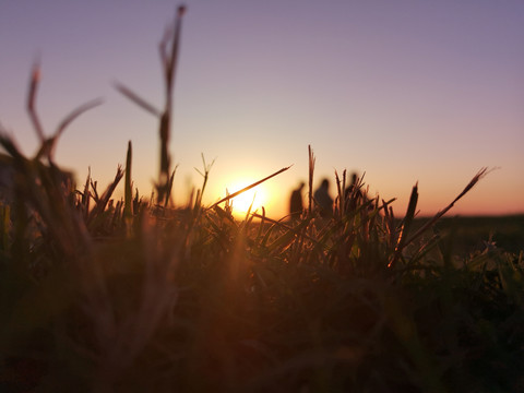 大江小河之渭河下的夕阳