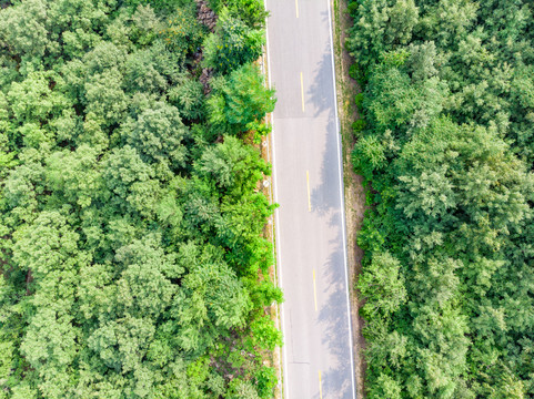 夏天航拍山区公路