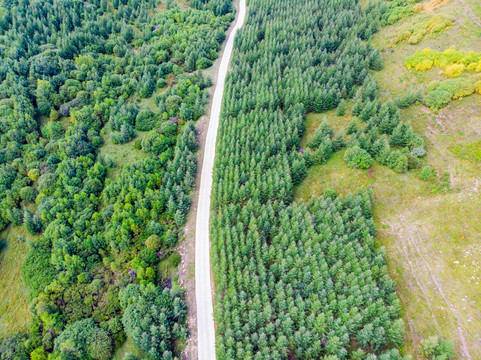 夏季航拍山区公路