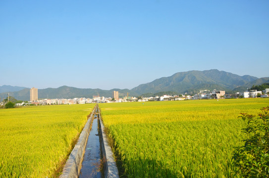 田园风光