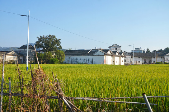 农村房屋