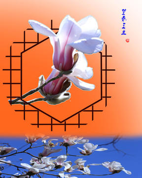 分層邊框插花