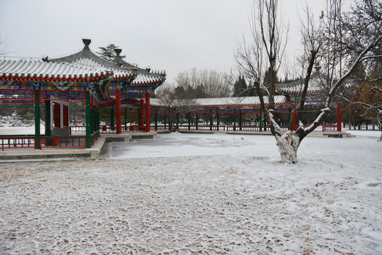 园林雪景