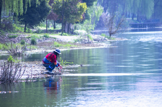 鲁家滩湿地公园