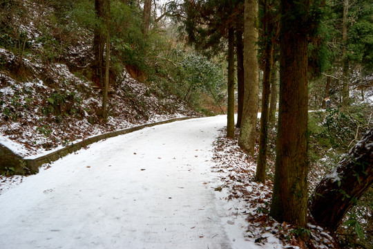 雪路