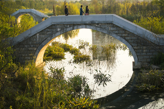 湿地公园秋景