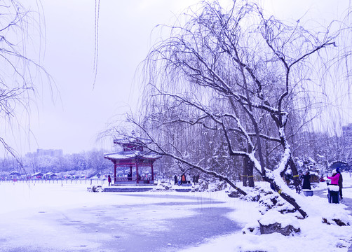 公园雪景