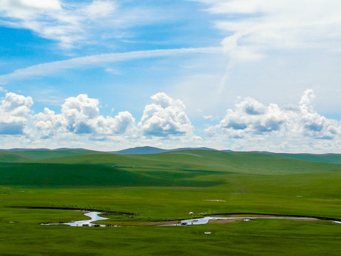 夏季草原河流蒙古包