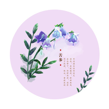 苦參