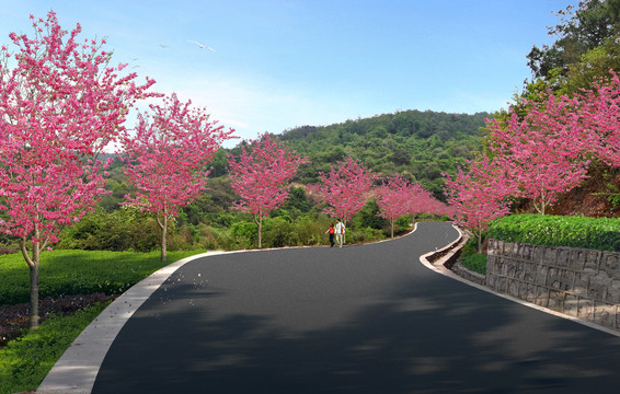 櫻花大道