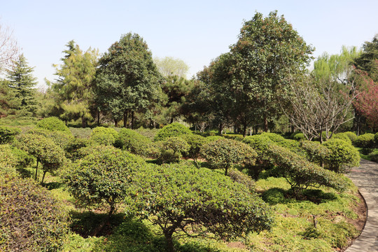 公园风景图片