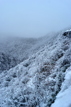 雪景