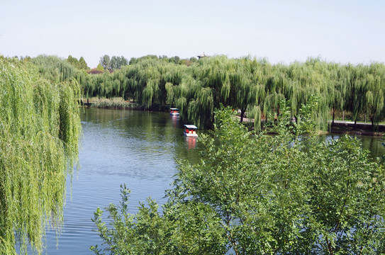 公园风景