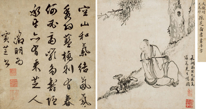 文徵明尋芝圖