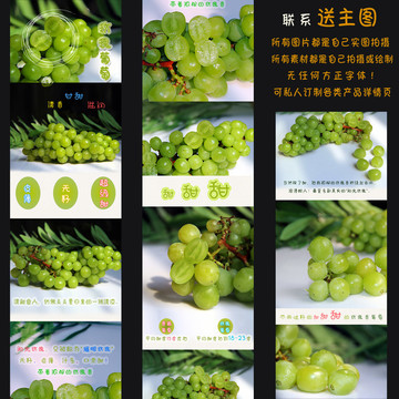 無籽綠葡萄玫瑰葡萄詳情頁圖層
