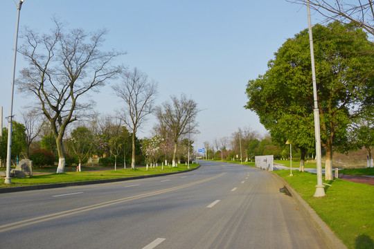 春天道路