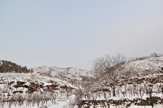 雪山美景