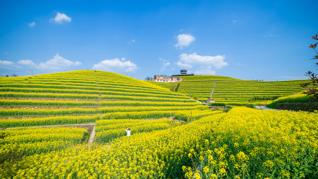 大场景风光