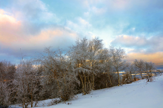 坝上雪景