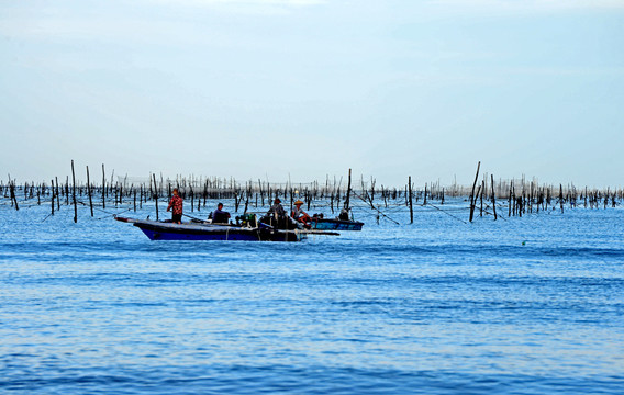 海边渔场