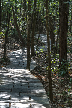 茶马古道