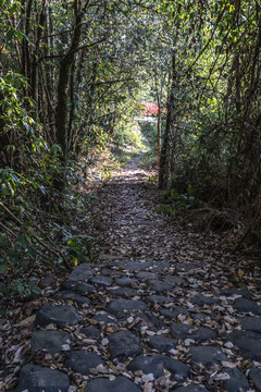 茶马古道