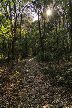 茶马古道