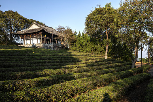 普洱茶建筑