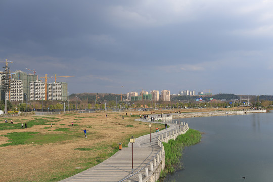 湖边草地