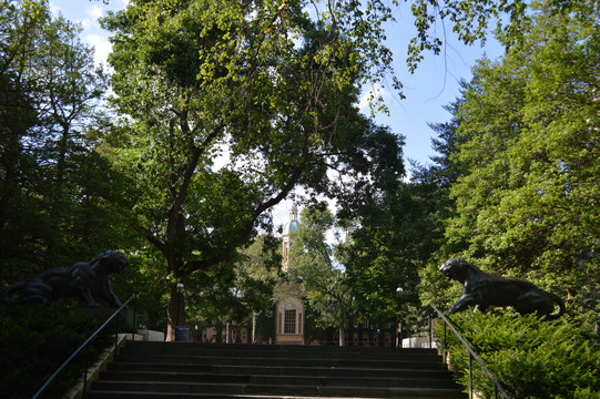 普林斯顿大学校园