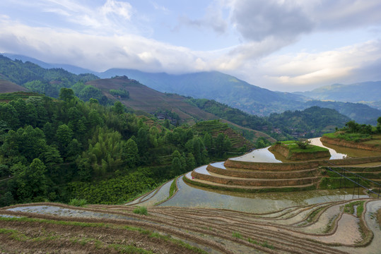 龙脊梯田