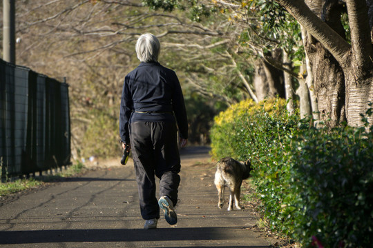 老人散步遛狗